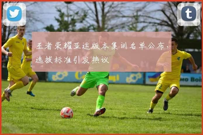王者荣耀亚运版本集训名单公布,选拔标准引发热议