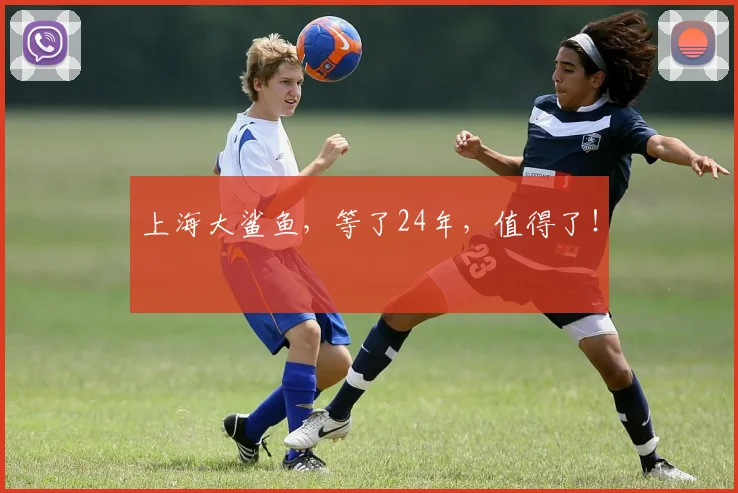 上海大鲨鱼,等了24年,值得了!