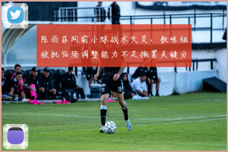 陈雨菲网前小球战术失灵，教练组被批临场调整能力不足拖累关键分